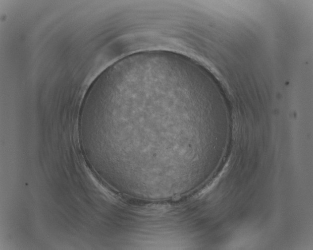 X0000070361513200606231609