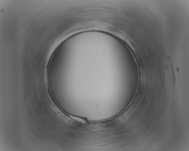 X0000070361516200606231609