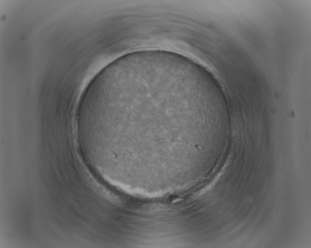 X0000070361517200606231609