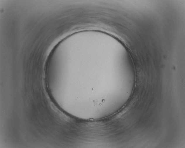 X0000070361518200606231609