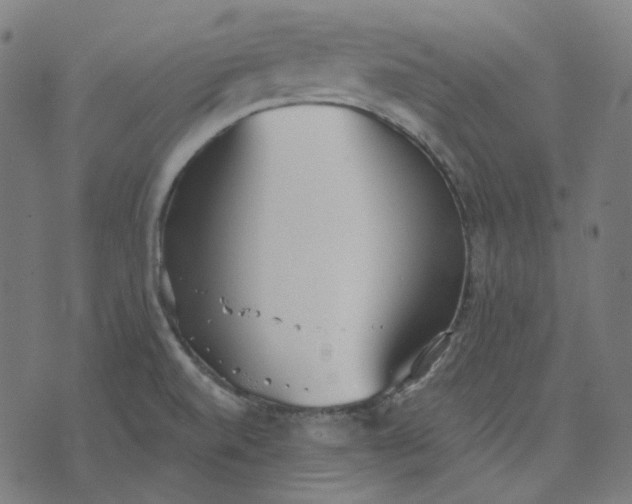 X0000070361520200606231609