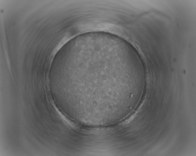 X0000070361521200606231609