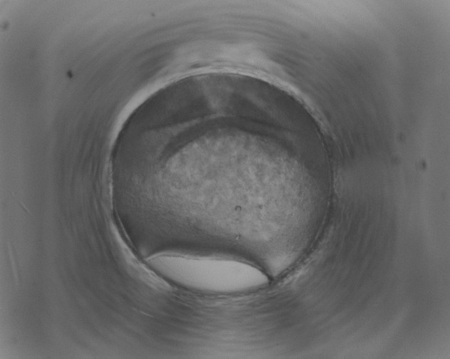 X0000070361522200606231609