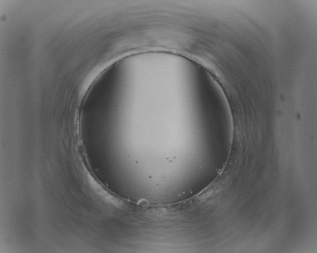 X0000070361524200606231609