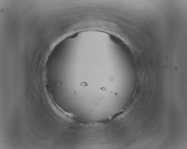 X0000070361526200606231609