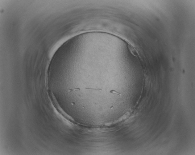 X0000070361527200606231609