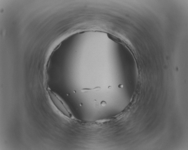 X0000070361528200606231609