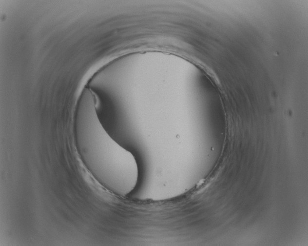 X0000070361530200606231610