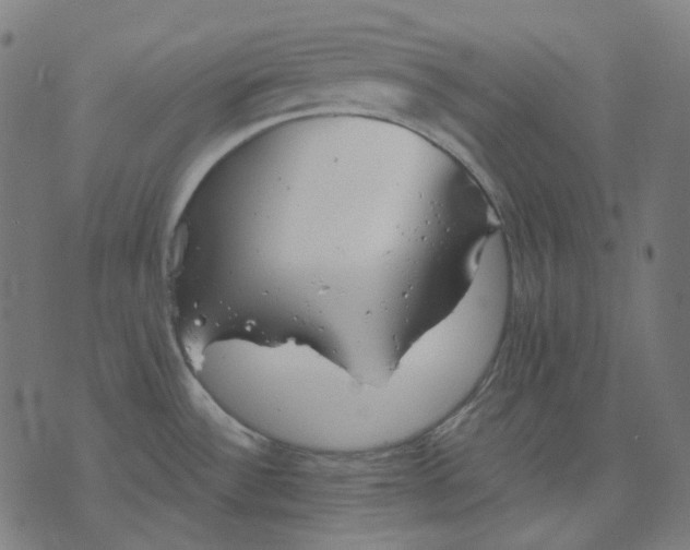 X0000070361532200606231610