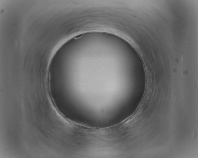 X0000070361536200606231610