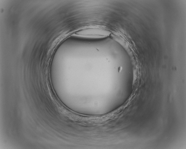 X0000070360001200606301842