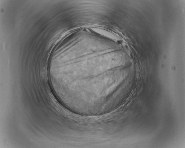 X0000070360002200606301842