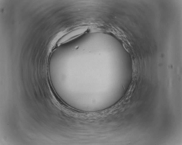 X0000070360003200606301842