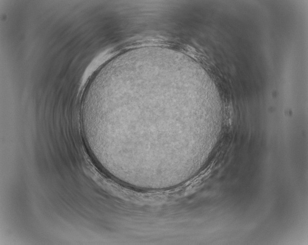 X0000070360004200606301842