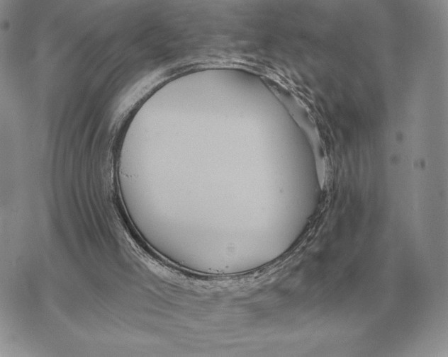 X0000070360005200606301842