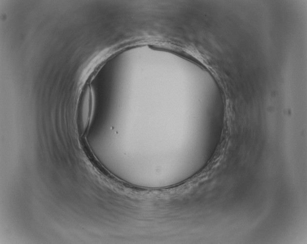 X0000070360007200606301842