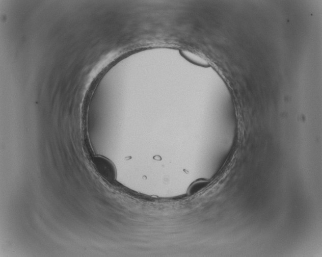 X0000070360008200606301842