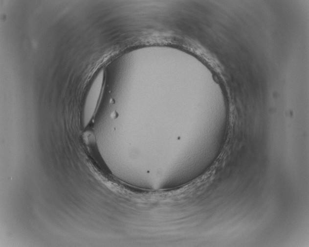 X0000070360009200606301842