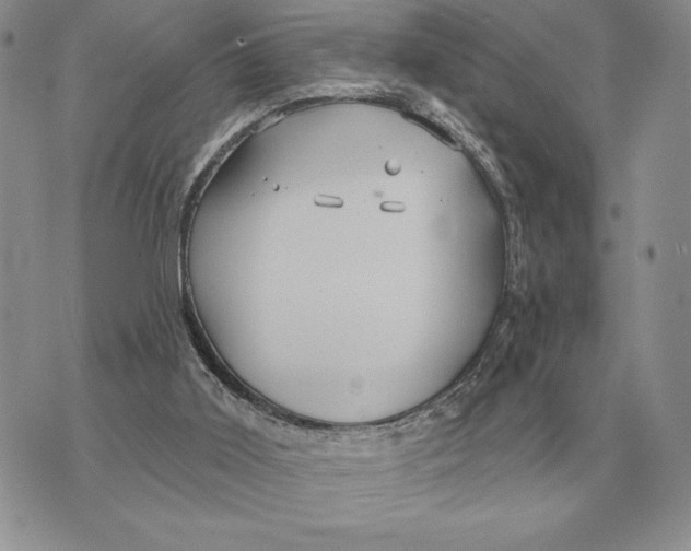 X0000070360011200606301842