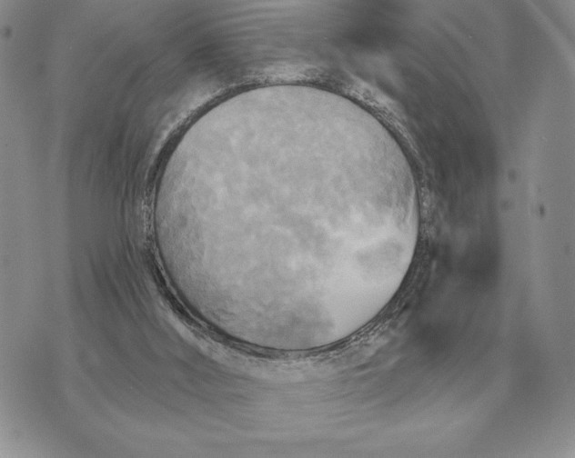 X0000070360012200606301842