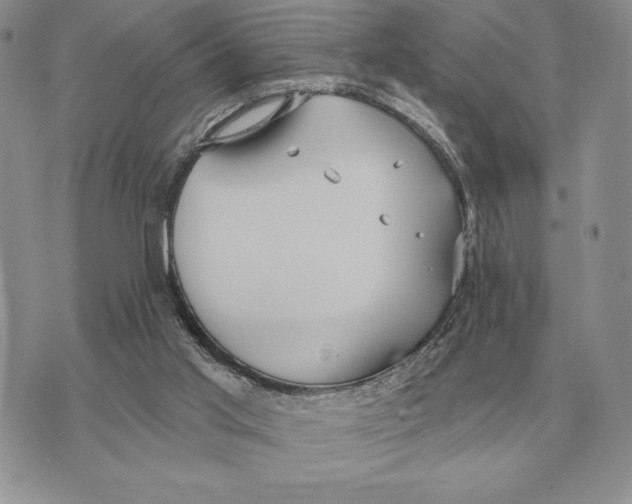 X0000070360013200606301842