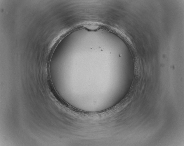 X0000070360015200606301842