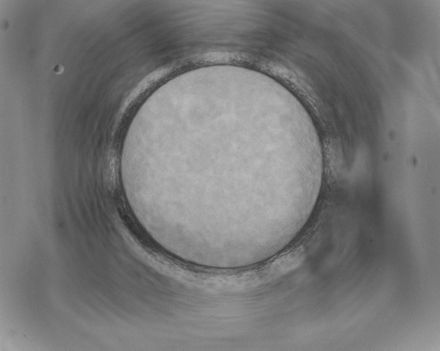 X0000070360016200606301842