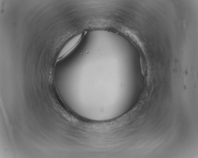 X0000070360017200606301842