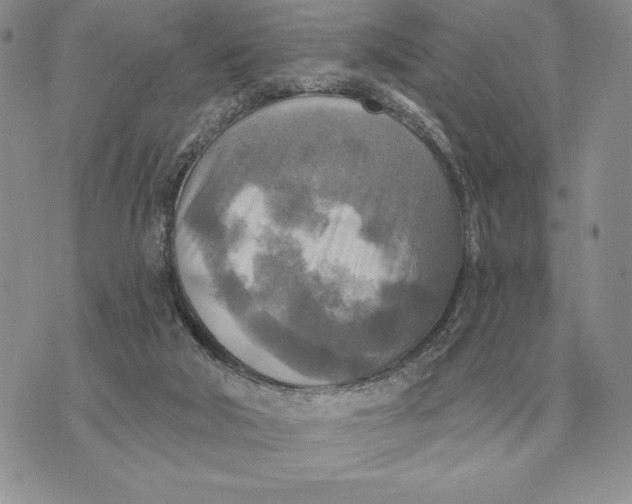 X0000070360018200606301842