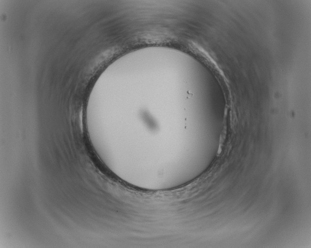 X0000070360019200606301842