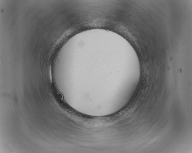 X0000070360020200606301842