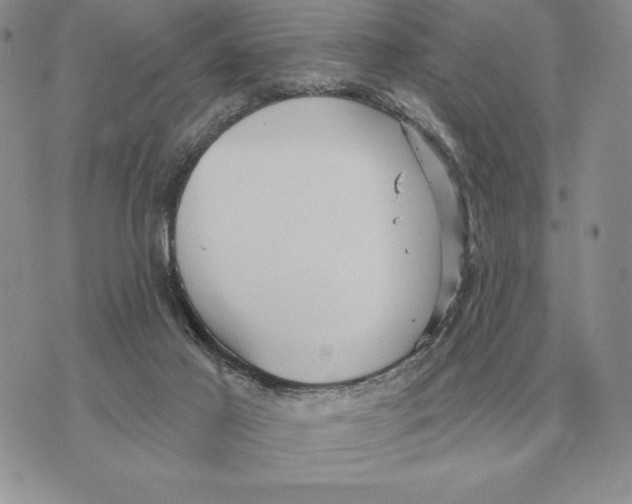 X0000070360021200606301842