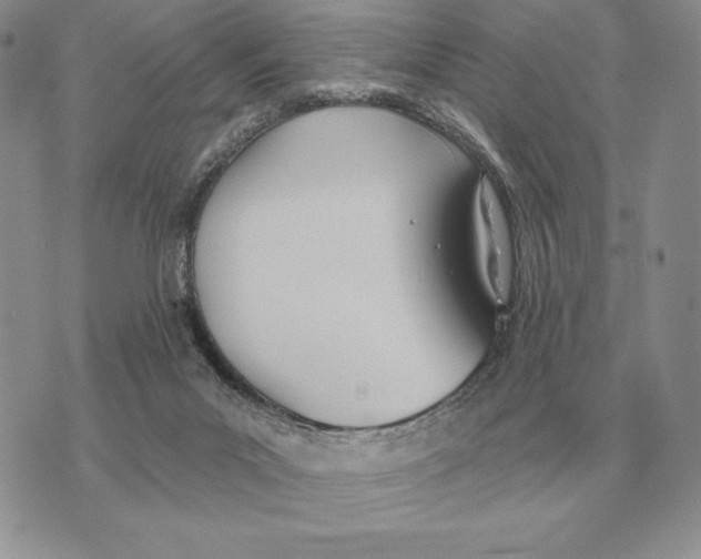 X0000070360023200606301842