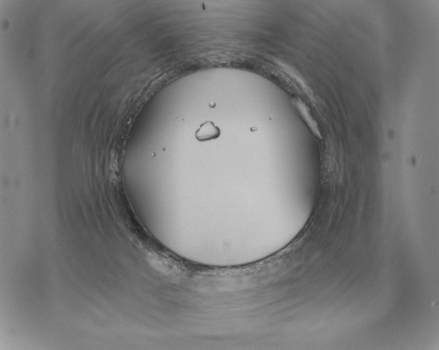 X0000070360025200606301842