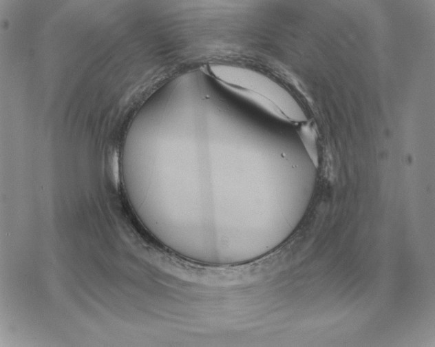 X0000070360027200606301842