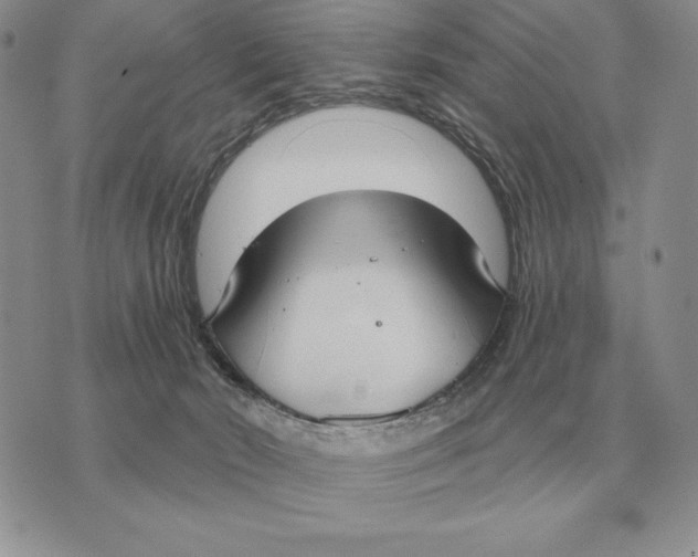 X0000070360030200606301842