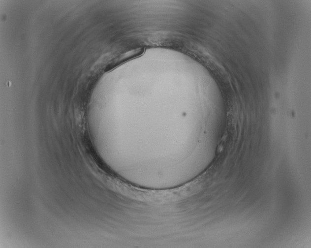 X0000070360031200606301842