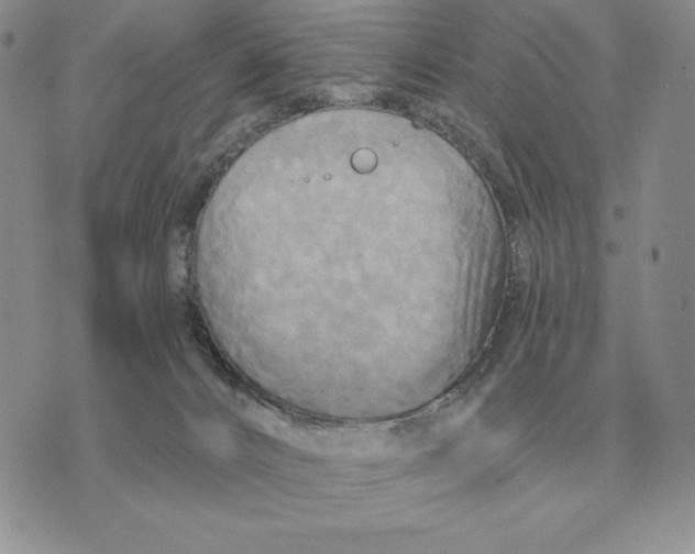 X0000070360032200606301842