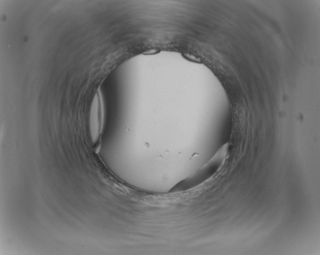 X0000070360033200606301842