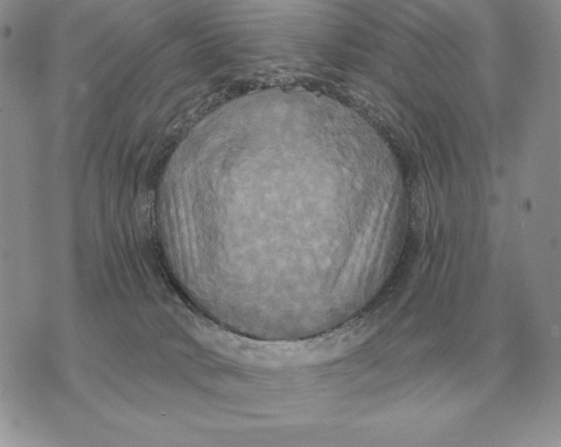 X0000070360034200606301842