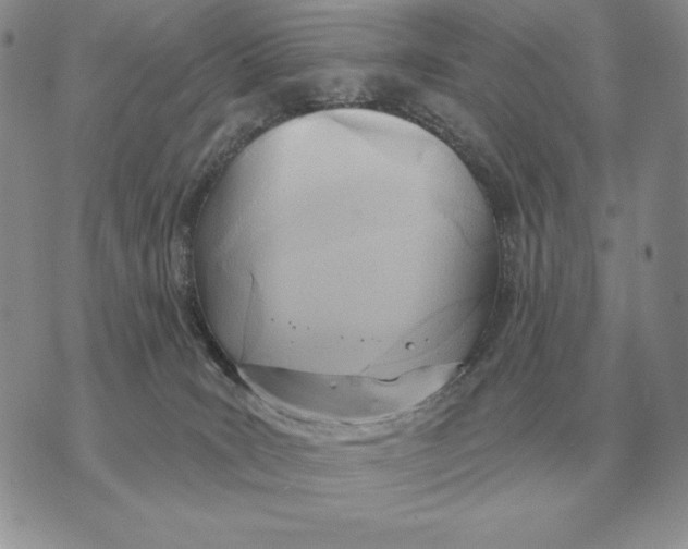 X0000070360035200606301842