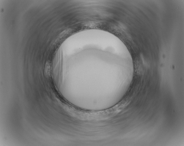 X0000070360036200606301842