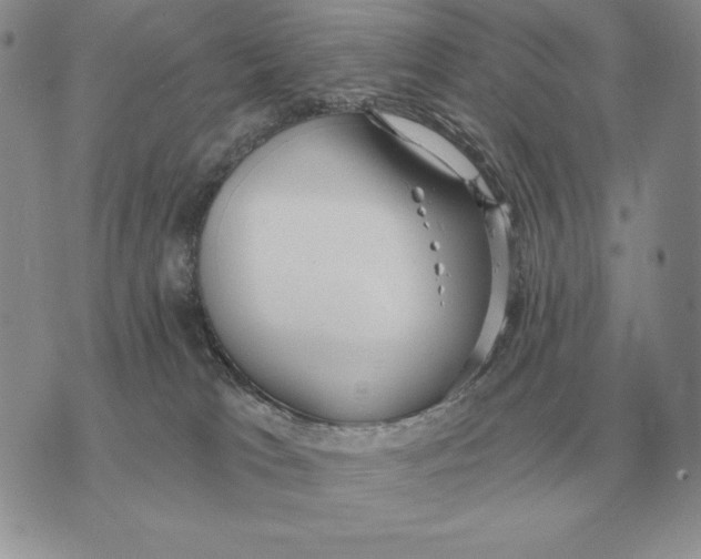 X0000070360037200606301842