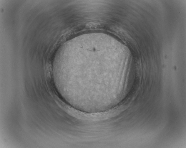 X0000070360038200606301842