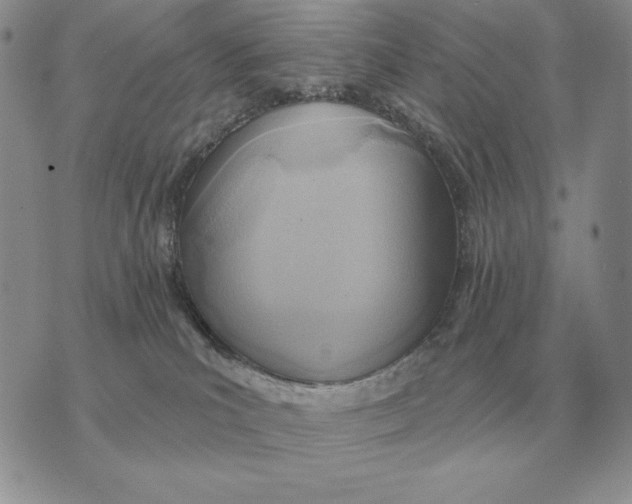 X0000070360039200606301842