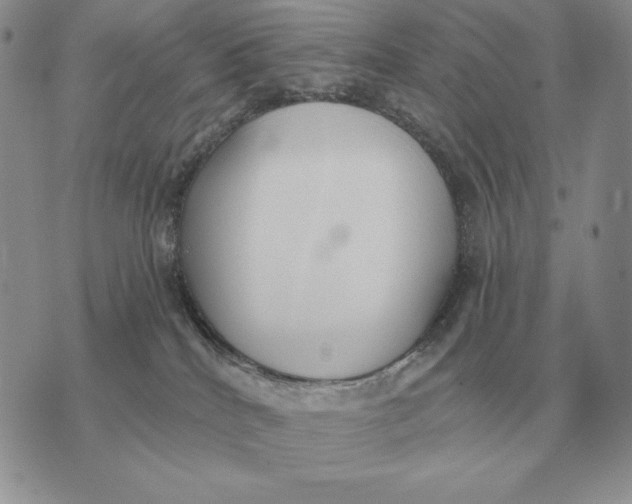 X0000070360040200606301842