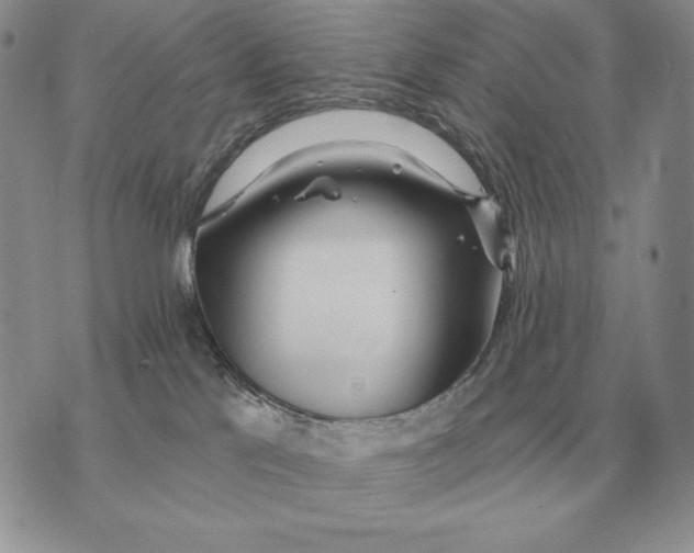 X0000070360041200606301842