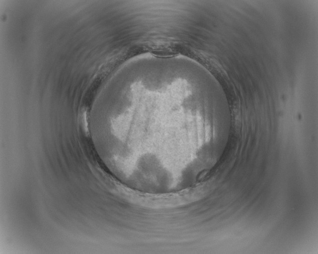 X0000070360042200606301842