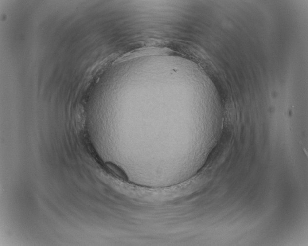 X0000070360043200606301842