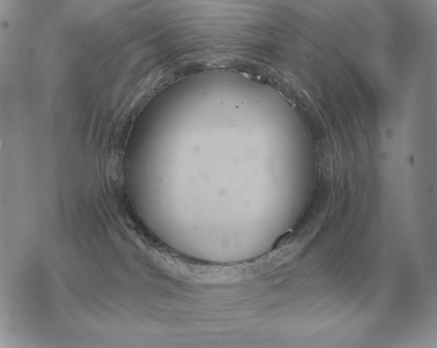 X0000070360044200606301842